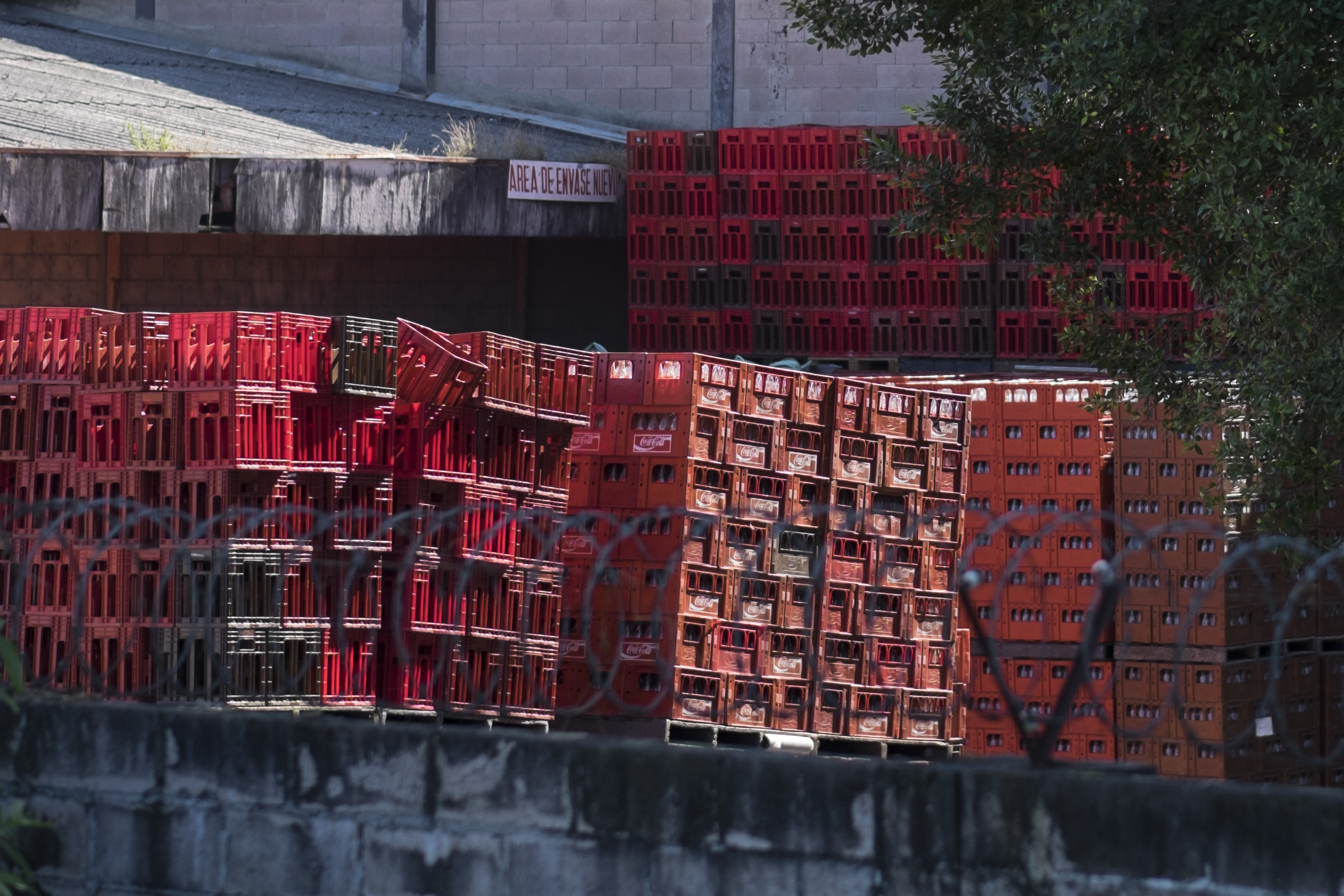 "Aquí la Coca Cola la vemos en todas partes, hay más Coca Cola que agua", dice el líder comunitario nejapense Ines Flores / © Pedro Armestre/Alianza por la Solidaridad